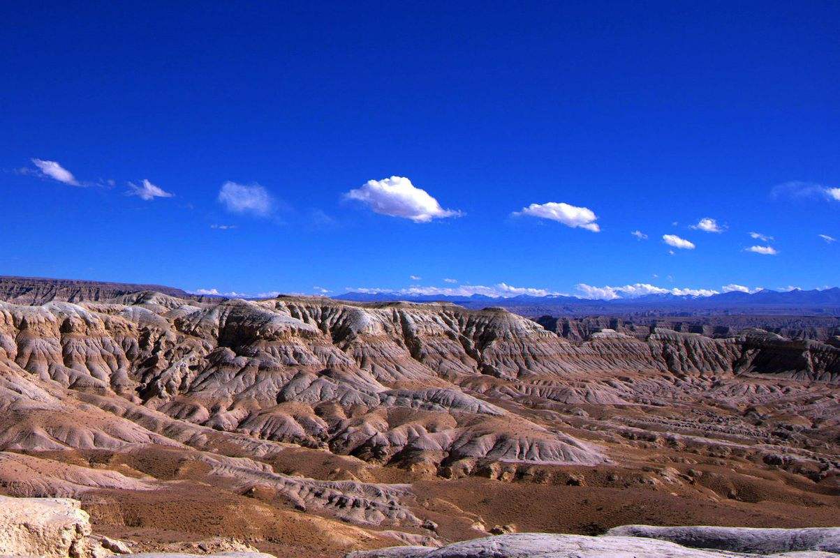 Zanda Earth Forest in far western Tibet, a natural highlight of Mount Kailash tours